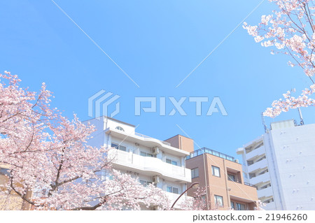 Apartment in blue sky and cherry blossoms Apartment in blue sky and cherry blossoms 21946260