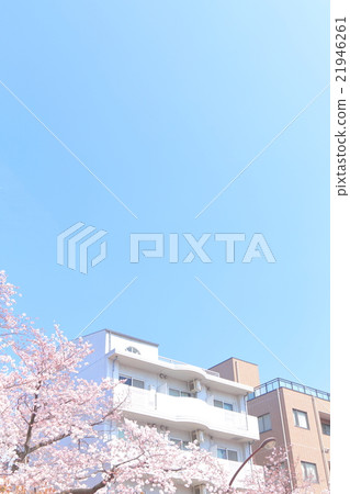 Apartment in blue sky and cherry blossoms Apartment in blue sky and cherry blossoms 21946261