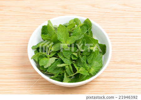 Herb Spearmint 21946392
