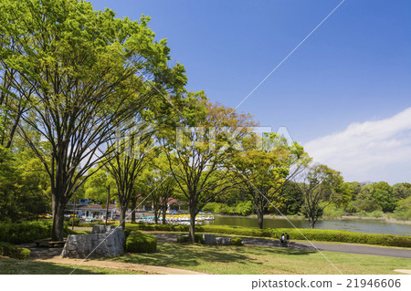 新鮮的綠色圍攏的船庫 21946606