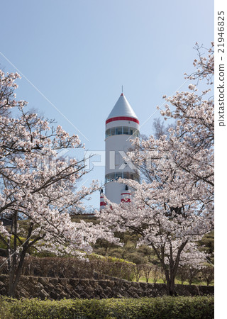  稻荷山公園 21946825