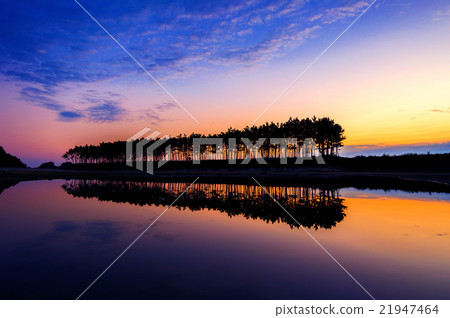 Silhouette and Reflections of row tree at sunset. Silhouette and Reflections of row tree at sunset. 21947464