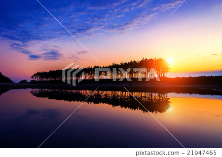 Silhouette and Reflections of row tree at sunset. Silhouette and Reflections of row tree at sunset. 21947465