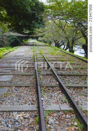 琵琶湖運河傾斜線(京都市東山區) 琵琶湖運河傾斜線(京都市東山區) 21947906