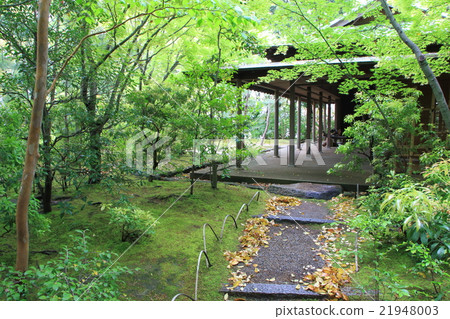 Fresh green Hoshoan (Hofu Tenmangu Shrine) Fresh green Hoshoan (Hofu Tenmangu Shrine) 21948003