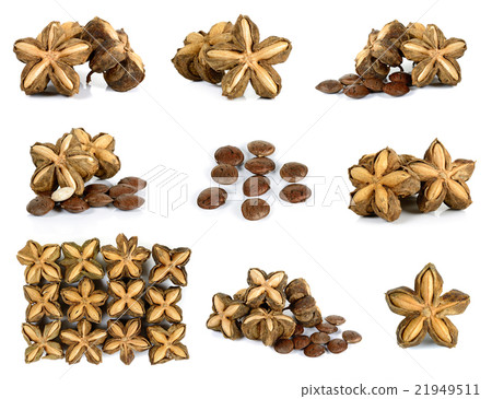 sacha inchi peanut seed on white background 21949511