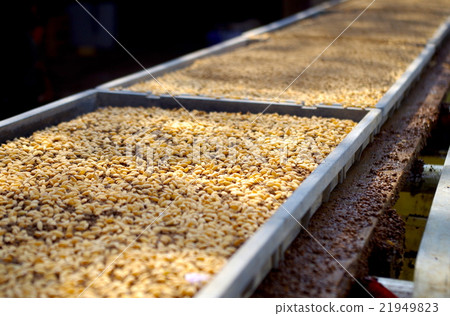 Making nurseries 21949823