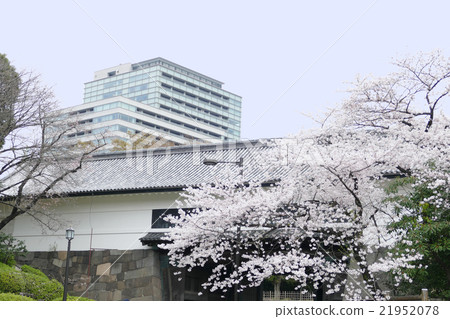 Tananmon Mukai Yoshino Tananmon Mukai Yoshino 21952078