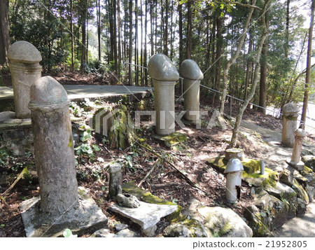 Maoara Kannon 21952805