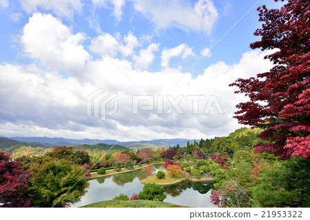 Shogakuin Imperial Palace Imperial Palace Tornado Pond Shogakuin Imperial Palace Imperial Palace Tornado Pond 21953322