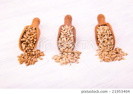 Wooden spoons with grain on a white wooden board Wooden spoons with grain on a white wooden board 21953404