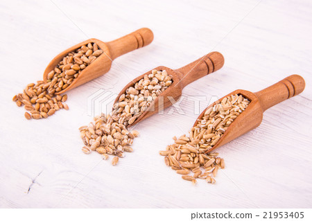 Grain in wooden spoons on a white wooden board Grain in wooden spoons on a white wooden board 21953405