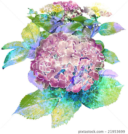 繡球花_幻想 繡球花_幻想 21953699