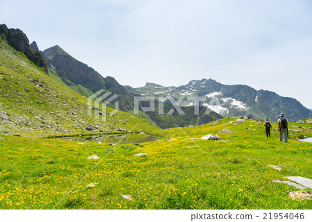 Hiking in the Alps on panoramic footpath 21954046