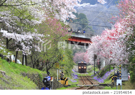 春天Watarase谷鐵路 春天Watarase谷鐵路 21954654