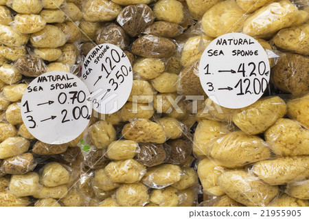 A closup of a natural sponges 21955905