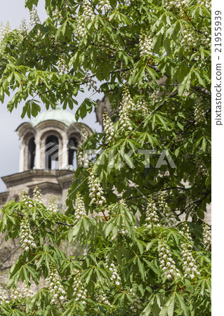 St Nedelya Church (Nagia Nedelja), Sofia, Bulgaria 21955939