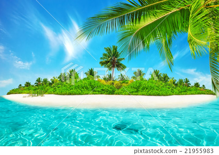 Whole tropical island within atoll in Ocean.  21955983