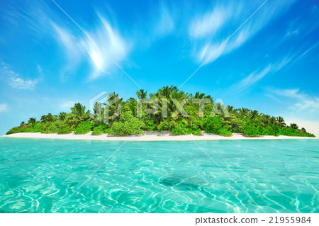 Whole tropical island within atoll in Ocean.  21955984