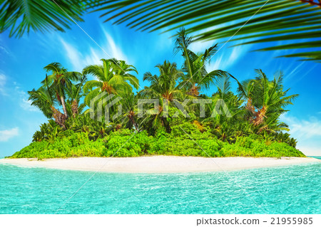 Whole tropical island within atoll in Ocean. Whole tropical island within atoll in Ocean. 21955985