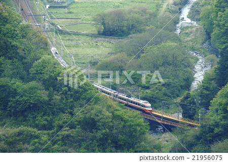 Romance car running in fresh green 21956075