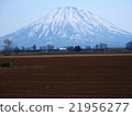 Mount Yotei 21956277