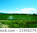 countryside 21956279