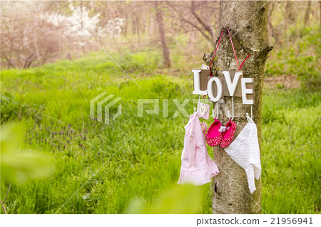 Pink baby shoes and dress hanging on the tree 21956941