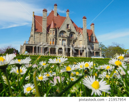 Clayder Rock Castle and Flower 21957954