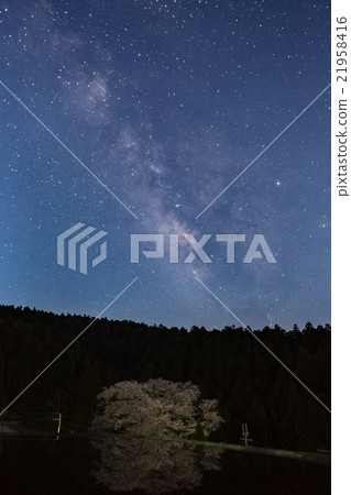 Cherry blossoms of Mikino and the Milky Way Cherry blossoms of Mikino and the Milky Way 21958416