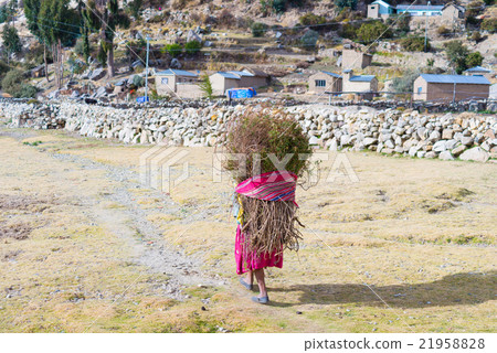 Island of the Sun, Titicaca Lake, Bolivia Island of the Sun, Titicaca Lake, Bolivia 21958828