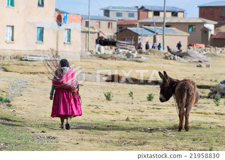 Island of the Sun, Titicaca Lake, Bolivia Island of the Sun, Titicaca Lake, Bolivia 21958830