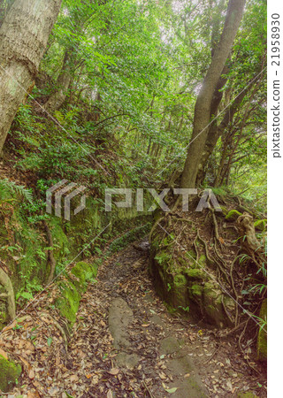 Scenery of mountain climbing road of saw mountain in summer Scenery of mountain climbing road of saw mountain in summer 21958930