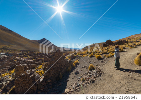 Roadtrip on the Andean highlands, Southern Bolivia Roadtrip on the Andean highlands, Southern Bolivia 21959645