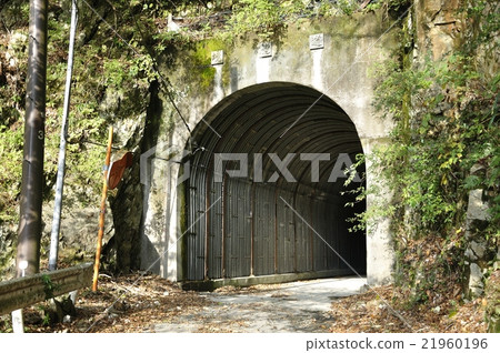 Genkaku Forest Road Boundary Tunnel Genkaku Forest Road Boundary Tunnel 21960196