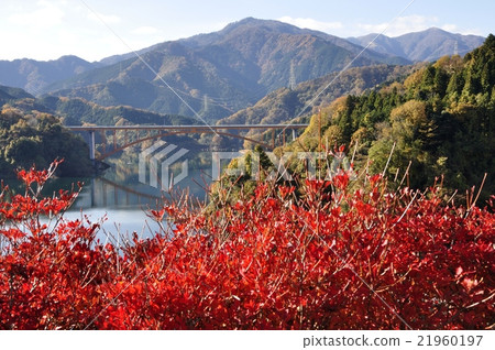 Fall Miyagase Lake Fall Miyagase Lake 21960197