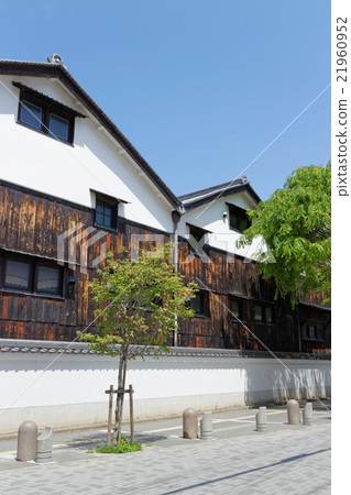 Itami Sakura Street Longevity Collection 21960952