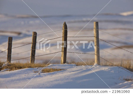 Prairie Fence in Winter Prairie Fence in Winter 21961060