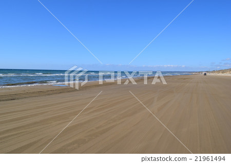 Senri-gama Nagisa車道 21961494