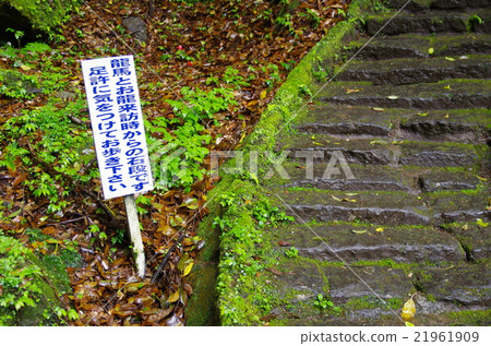 Sakamoto Ryoma參加了對Shioiri溫泉的蜜月之旅,兩個人散步,離開長滿苔蘚的石階 Sakamoto Ryoma參加了對Shioiri溫泉的蜜月之旅,兩個人散步,離開長滿苔蘚的石階 21961909