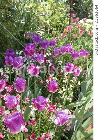 Hamana Lake Garden Park 21963064