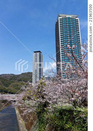 神戶春天的生田河和神戶藝術中心 神戶春天的生田河和神戶藝術中心 21963500