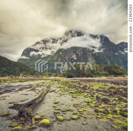 Milford sound 21964263