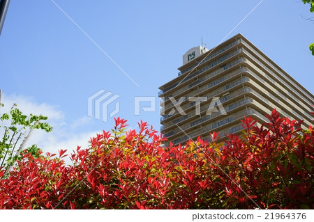 Kamo station square park · Red robin Kamo station square park · Red robin 21964376