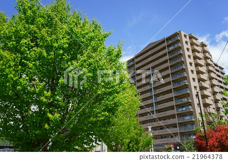 Kamo station square park · fresh green Kamo station square park · fresh green 21964378