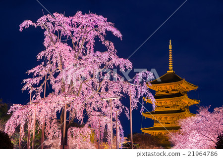 Kyoto Toji Temple Everyday Snow Night View Kyoto Toji Temple Everyday Snow Night View 21964786