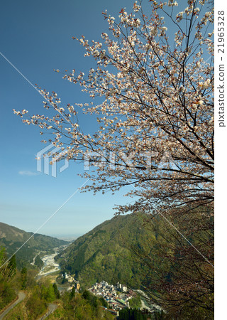 Yamazakura Unazuki溫泉和黑部河遠景 Yamazakura Unazuki溫泉和黑部河遠景 21965328