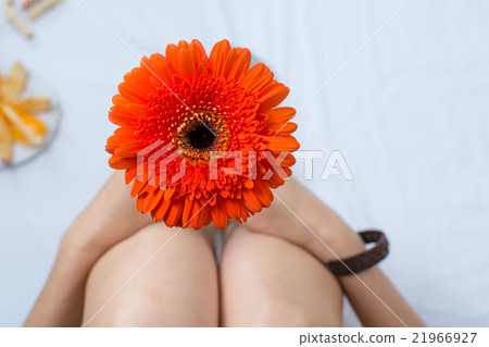 Woman holding a gerbera flower in bed Woman holding a gerbera flower in bed 21966927