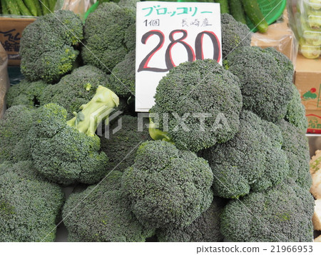 西蘭花 西蘭花 21966953