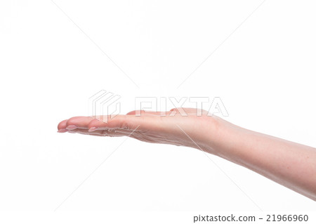 Woman's palm up Woman's palm up 21966960